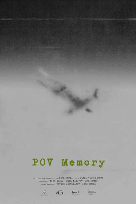 POV Memory